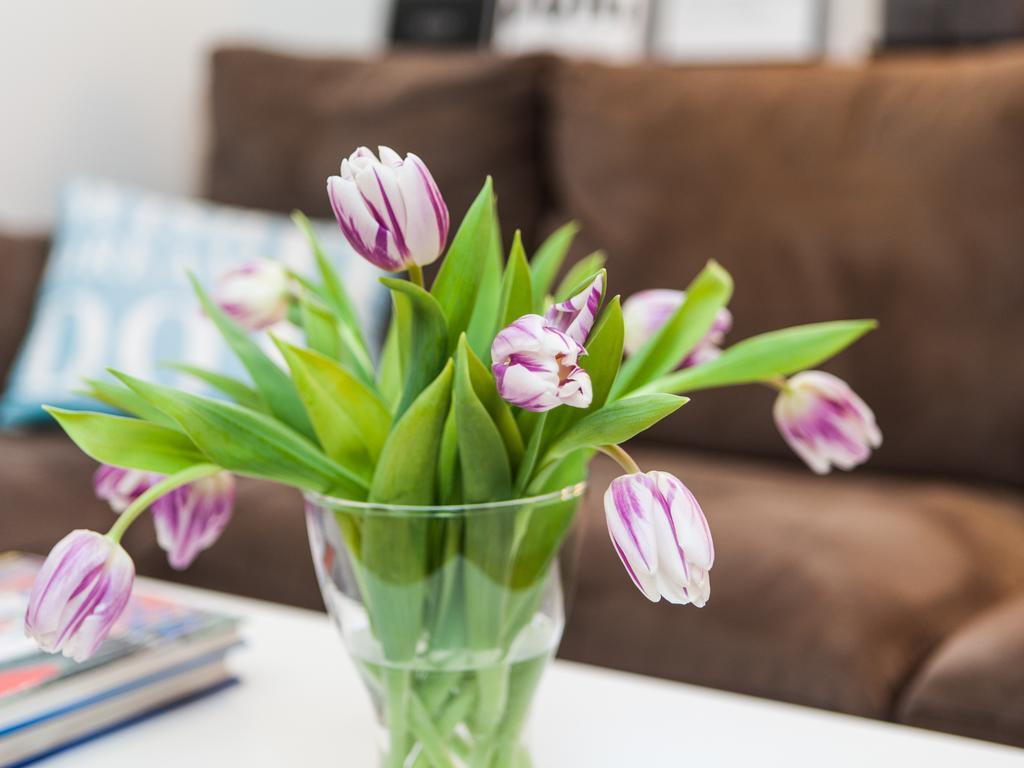 Skolo Apartment Selfoss Dış mekan fotoğraf